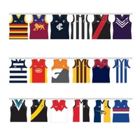 Image of AFL All Team Party Paper Bunting