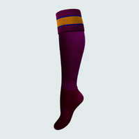 Image of Brisbane Lions Kids Football Socks