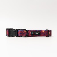 Brisbane Lions Dog Collar