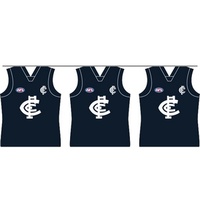 Carlton Blues Party Bunting