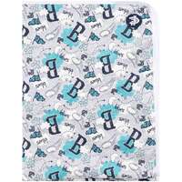 Image of Carlton Blues Baby Cloud Blanket
