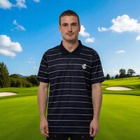 Carlton Blues Mens Striped Polo