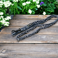 Carlton Blues Dog Lead