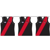 Essendon Bombers Party Bunting