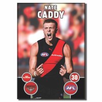 Essendon Bombers 2026 Player Action Magnet - CADDY