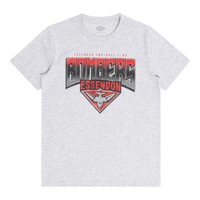 Essendon Bombers Youths Grey Supporter Tee
