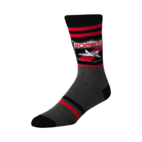 Essendon Bombers Retro Shield Mens Socks