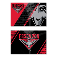 Essendon Bombers Set of 2 Magnets