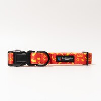 Image of Gold Coast Suns Dog Collar