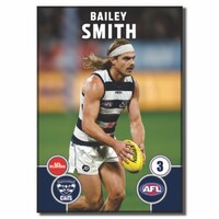 Geelong Cats 2026 Player Action Magnet - SMITH