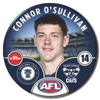Geelong Cats 2025 Player Pin Badge - O'SULLIVAN