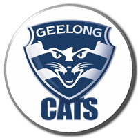 Geelong Cats 2026 Metal Pin Badge - LOGO