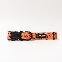 Image of GWS Giants Dog Collar