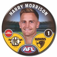 Hawthorn Hawks 2025 Player Pin Badge - MORRISON