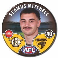 Hawthorn Hawks 2025 Player Pin Badge - MITCHELL