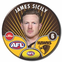 Hawthorn Hawks 2026 Player Pin Badge - SICILY