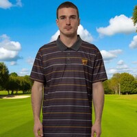 Hawthorn Hawks Mens Striped Polo