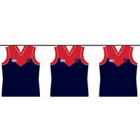 Melbourne Demons Party Bunting