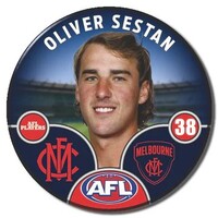 Melbourne Demons 2025 Player Pin Badge - SESTAN