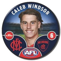 Melbourne Demons 2025 Player Pin Badge - WINDSOR