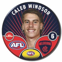 Melbourne Demons 2026 Player Pin Badge - WINDSOR