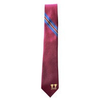 Brisbane Lions 2025 Premiers Neck Tie