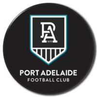 Port Adelaide Power 2026 Metal Pin Badge - LOGO