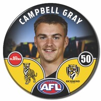 Richmond Tigers 2025 Player Pin Badge - GRAY