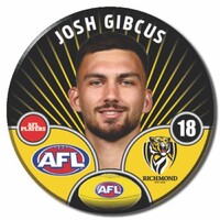 Richmond Tigers 2026 Player Pin Badge - GIBCUS