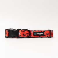 St Kilda Saints Dog Collar