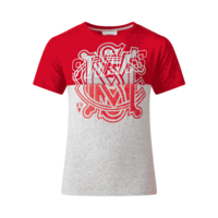 Sydney Swans Youths Split Logo Tee