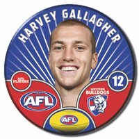 Western Bulldogs 2026 Player Pin Badge - GALLAGHER