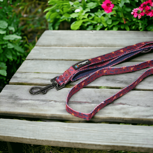 Brisbane Lions Dog Lead
