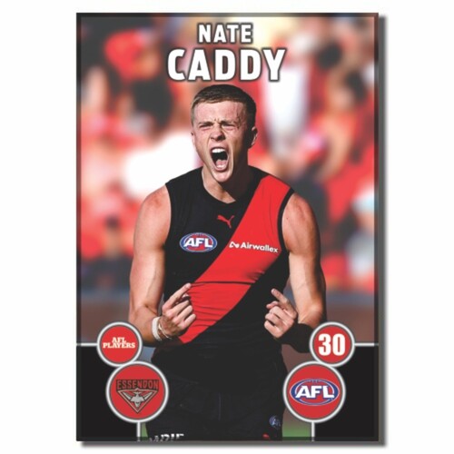 Essendon Bombers 2026 Player Action Magnet - CADDY