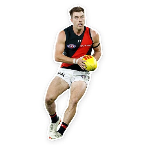 Essendon Bombers Zach Merrett Wall Decal
