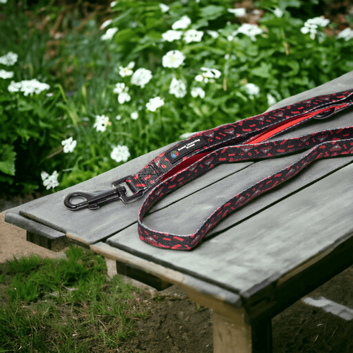 Essendon Bombers Dog Lead