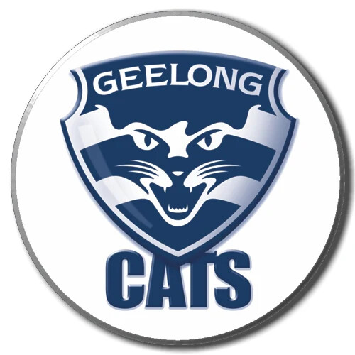 Geelong Cats 2025 Metal Pin Badge - LOGO