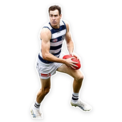 Geelong Cats Jeremy Cameron Wall Decal