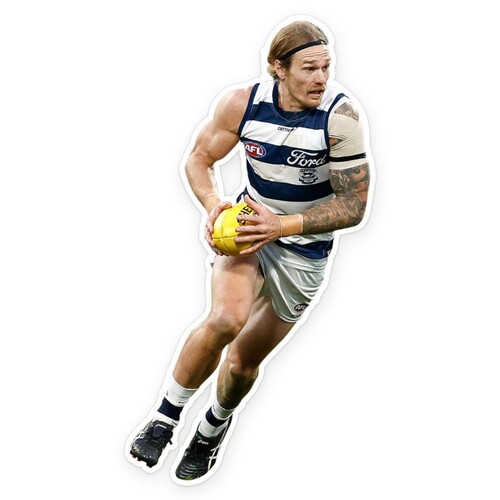 Geelong Cats Tom Stewart Wall Decal