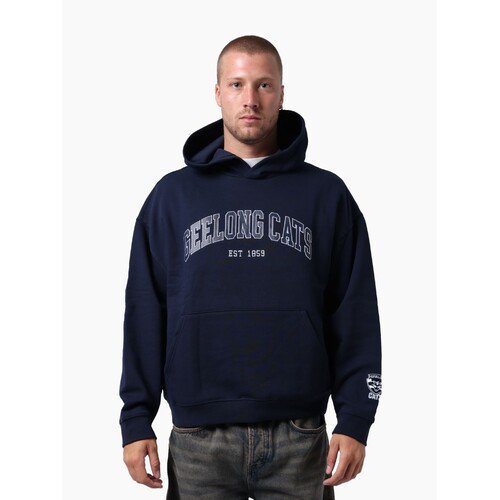 Geelong Cats Unisex Essentials Arch Hoodie 