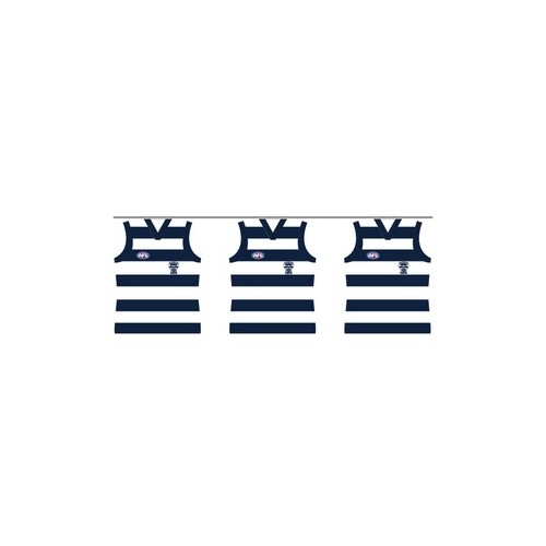 Geelong Cats Party Paper Bunting
