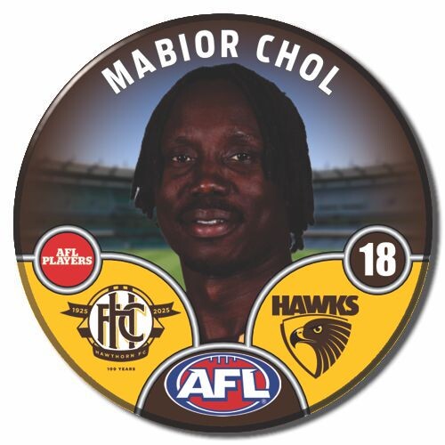 Hawthorn Hawks 2025 Player Pin Badge - CHOL