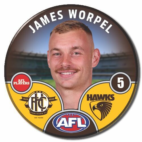 Hawthorn Hawks 2025 Player Pin Badge - WORPEL