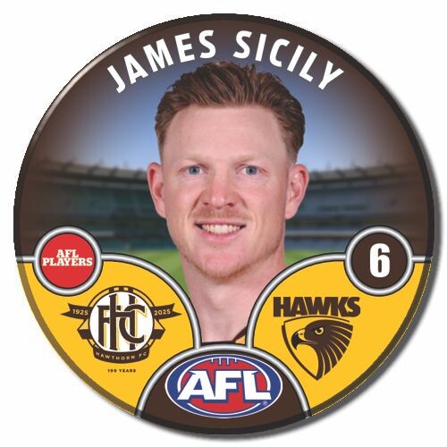 Hawthorn Hawks 2025 Player Pin Badge - SICILY