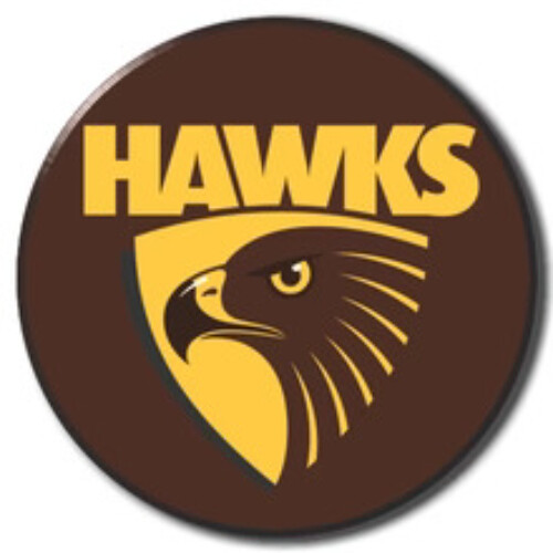 Hawthorn Hawks 2026 Metal Pin Badge - LOGO