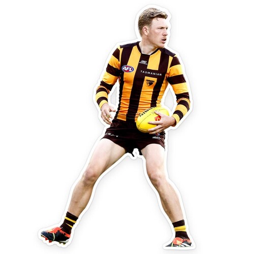 Hawthorn Hawks James Sicily Wall Decal