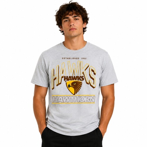 Hawthorn Hawks Mens Arch Stack Tee 
