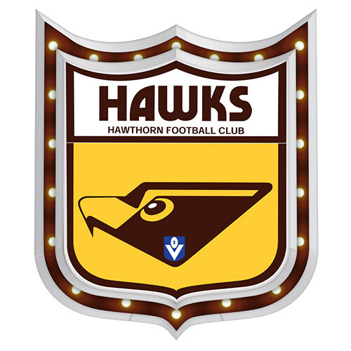 Hawthorn Hawks Retro Light Up Tin Sign