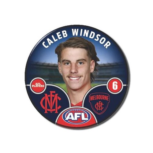 Melbourne Demons 2025 Player Pin Badge - WINDSOR