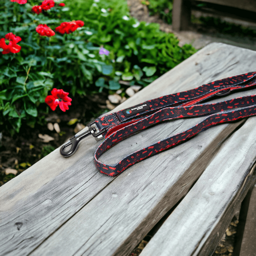 Melbourne Demons Dog Lead